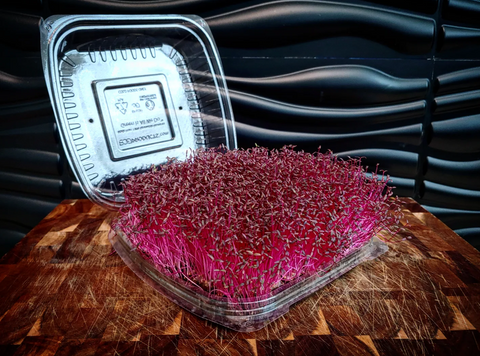 Amaranth Microgreens (Farmers Market)