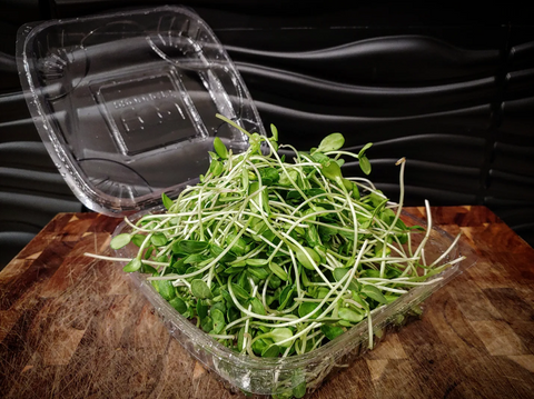 Sunflower Shoots/ Microgreen